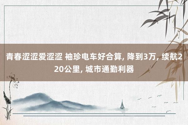 青春涩涩爱涩涩 袖珍电车好合算， 降到3万， 续航220公里， 城市通勤利器