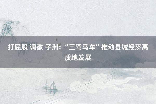 打屁股 调教 子洲: “三驾马车”推动县域经济高质地发展