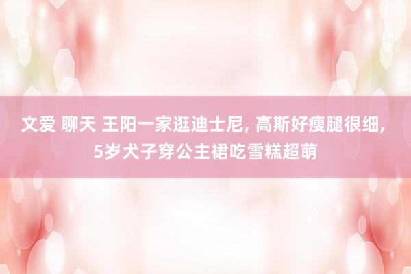 文爱 聊天 王阳一家逛迪士尼， 高斯好瘦腿很细， 5岁犬子穿公主裙吃雪糕超萌